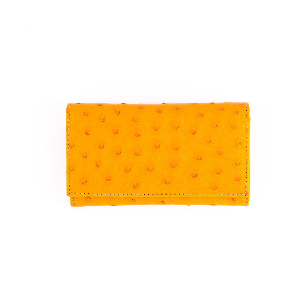 Small Window Ostrich Purse