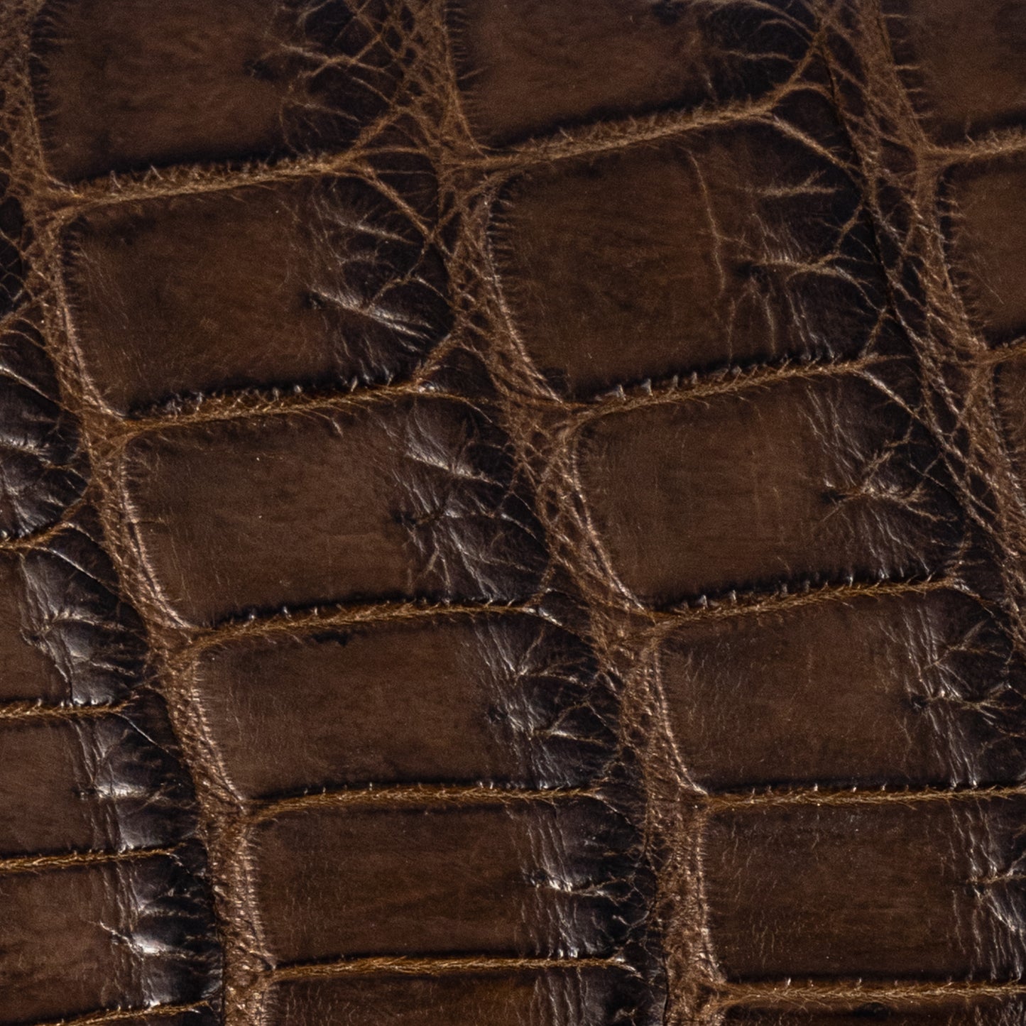 Ladies Crocodile Purse