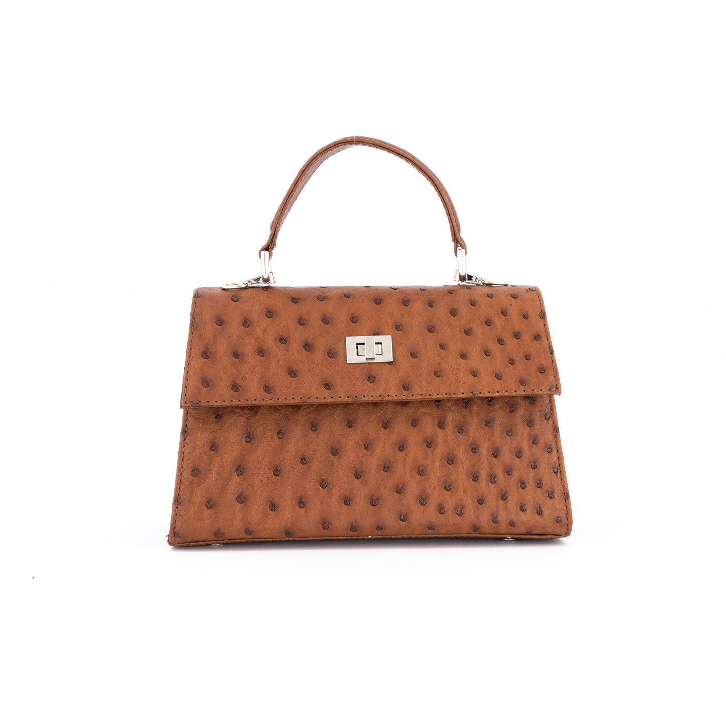 Small Kelly Ostrich Bag