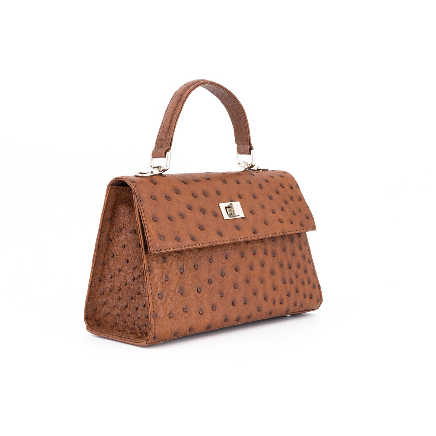 Small Kelly Ostrich Bag